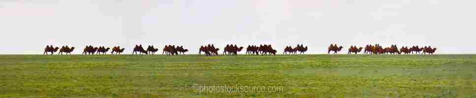 Mongolian Panoramas gallery