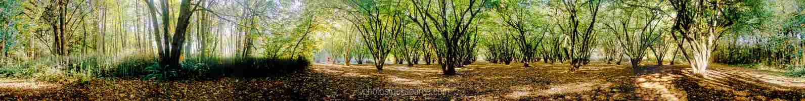Agriculture Panoramas gallery